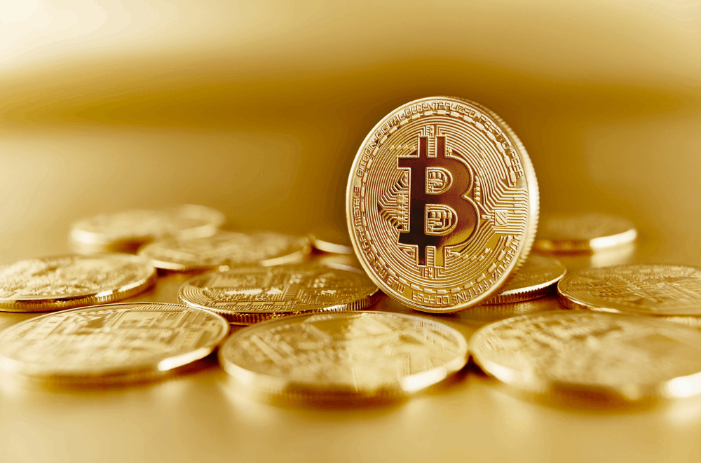 Discover Why Bitcoin Is So Expensive